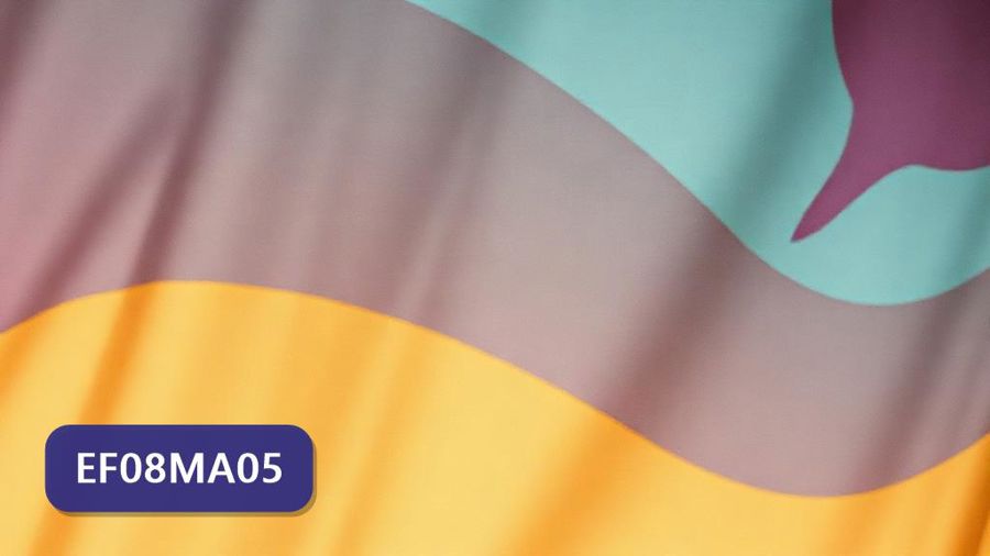 Atividades sobre Dízimas periódicas: fração geratriz com gabarito — 8º ano (EF08MA05)
