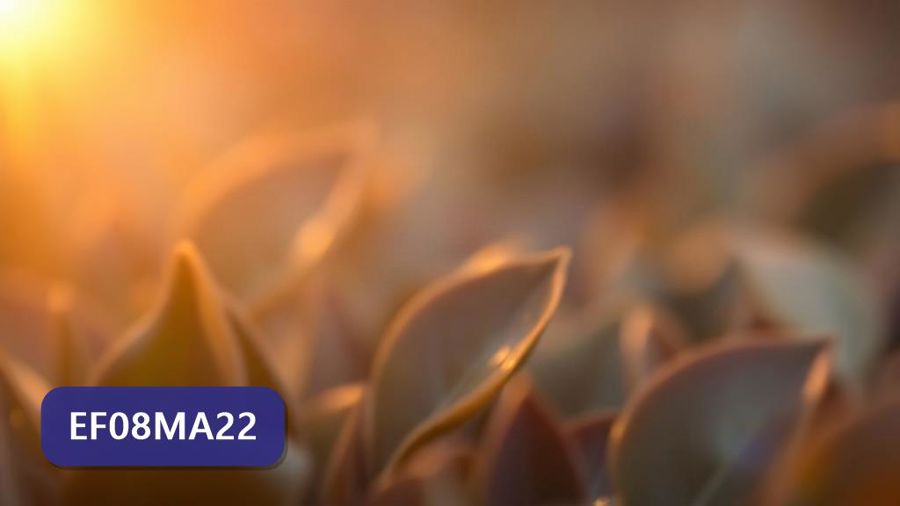 Atividades sobre Princípio multiplicativo da contagem com gabarito — 8º ano (EF08MA22)