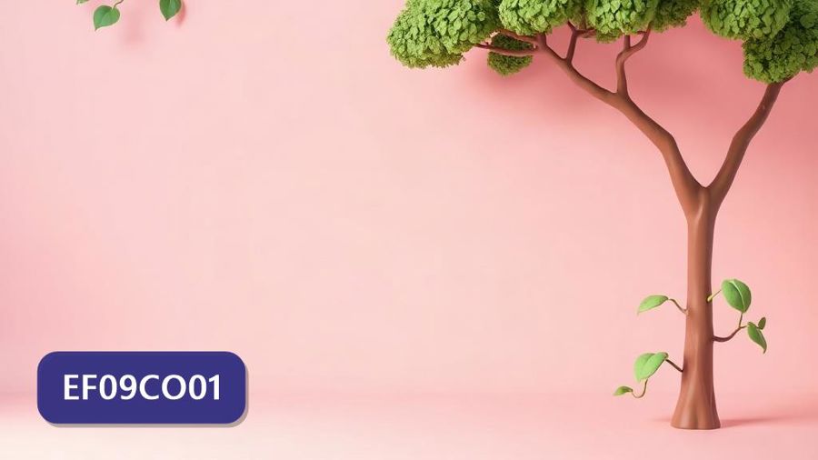 Atividades sobre Programação usando grafos e árvores com gabarito — 9º ano (EF09CO01)