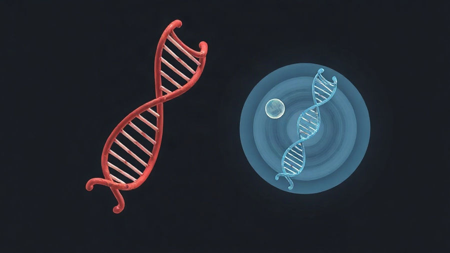Atividades de DNA, RNA, Mitose e Meiose para a 1ª série do Ensino Médio com gabarito