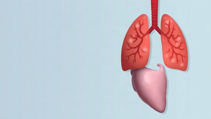 Atividades sobre sistema respiratório: ideias e questões comentadas