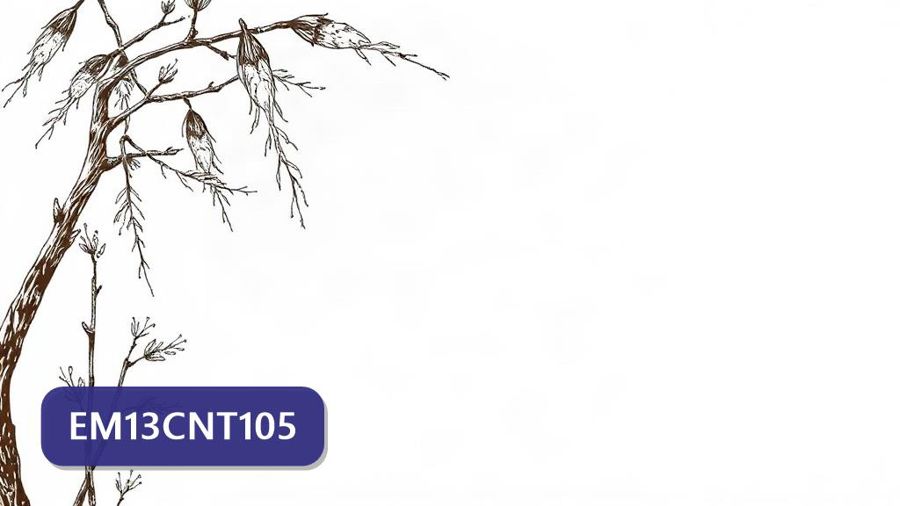 Atividades sobre Ciclos Biogeoquímicos e Interferência Humana com gabarito — 1ª série, 2ª série, 3ª série, ENEM, FUVEST, UEL, UNESP (EM13CNT105)