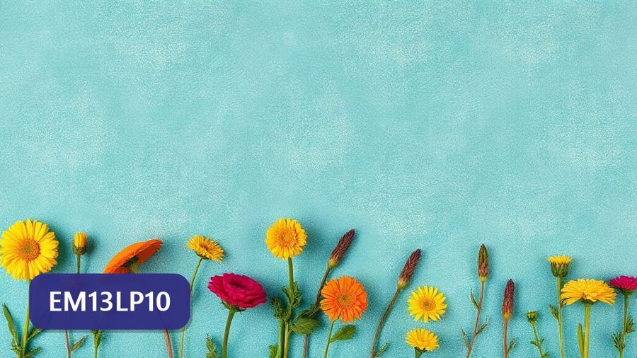 Atividades sobre variação linguística com gabarito — 1ª série, 2ª série, 3ª série, ENEM, FUVEST, UEL, UNESP (EM13LP10)