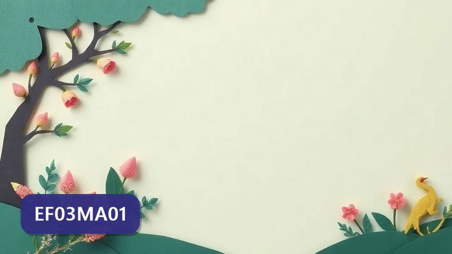 Atividades sobre Leitura, escrita, comparação e ordenação de números naturais de quatro ordens com gabarito — 3º ano (EF03MA01)