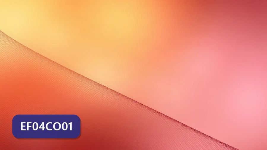 Atividades sobre Matrizes e registros com gabarito — 4º ano (EF04CO01)