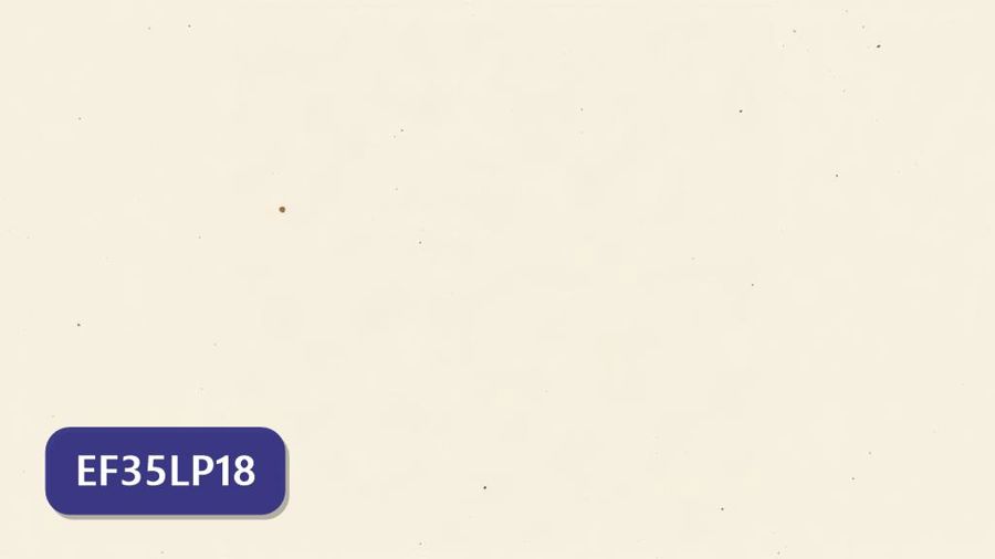Atividades sobre Escuta de textos orais com gabarito — 3º ano, 4º ano, 5º ano (EF35LP18)