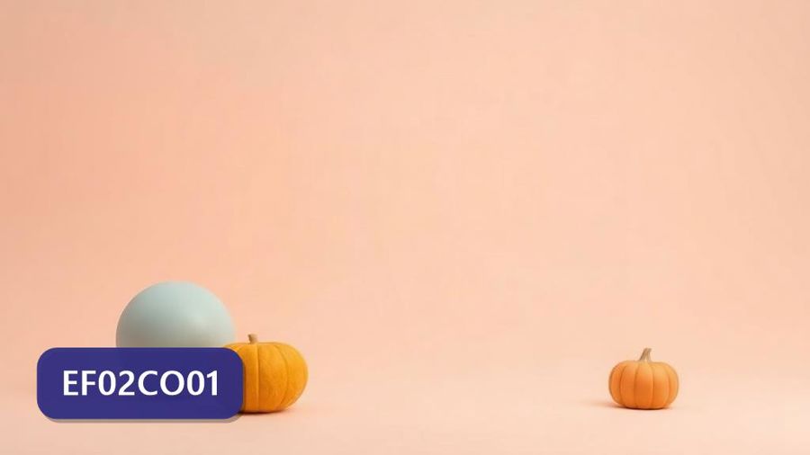 Atividades sobre Modelagem de objetos com gabarito — 2º ano (EF02CO01)