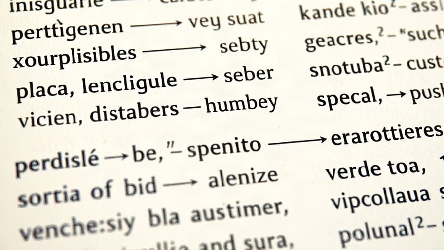 Atividade de concordância verbal: questões prontas e como aplicar