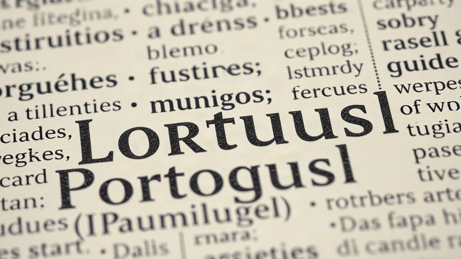 Concordância entre artigo, substantivo e adjetivo no 4º ano