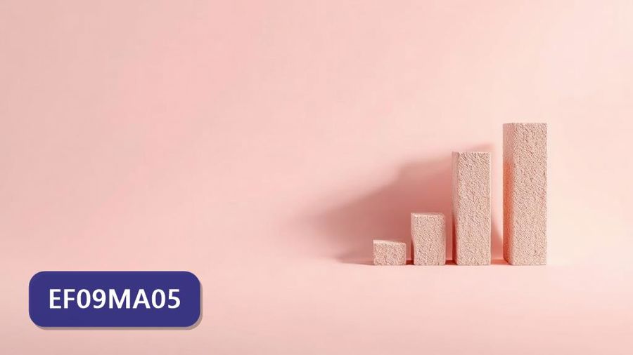 Atividades sobre Porcentagens: problemas que envolvem cálculo de percentuais sucessivos com gabarito — 9º ano (EF09MA05)