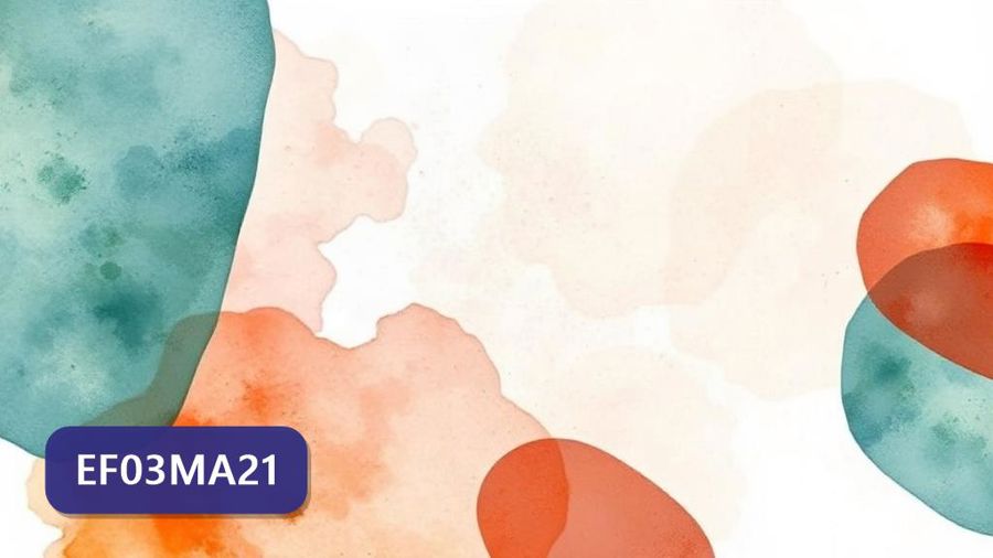 Atividades sobre Comparação de áreas por superposição com gabarito — 3º ano (EF03MA21)