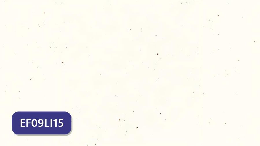 Atividades sobre Orações condicionais (tipos 1 e 2) com gabarito — 9º ano (EF09LI15)