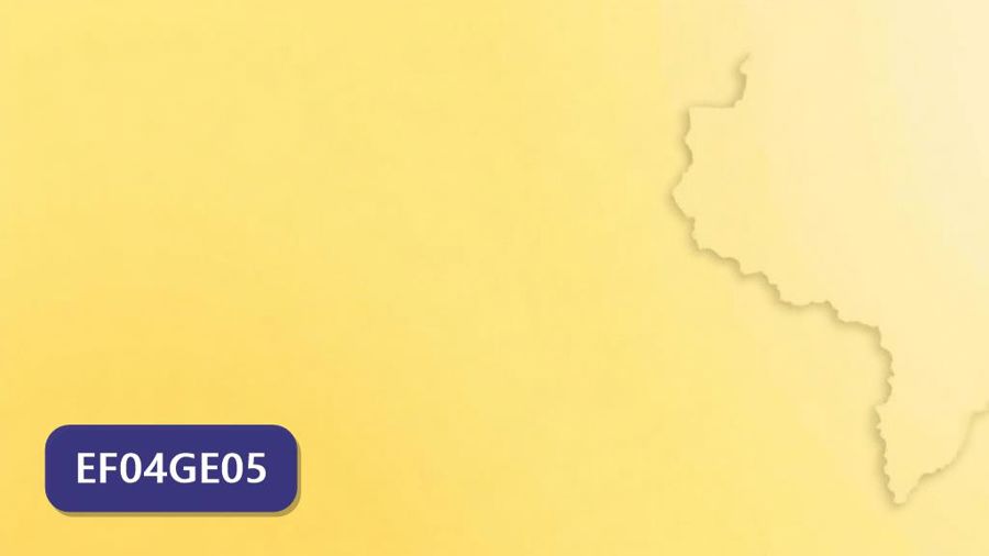 Atividades sobre Unidades político-administrativas do Brasil com gabarito — 4º ano (EF04GE05)