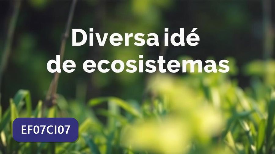 Atividades sobre Diversidade de ecossistemas com gabarito — 7º ano (EF07CI07)