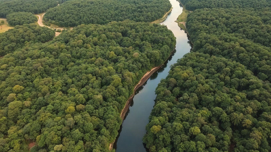 Unidades de conservação ambiental: o erro de confundir proteção integral e uso sustentável