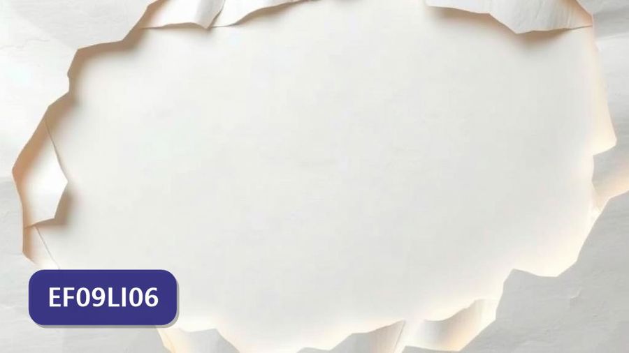 Atividades sobre Recursos de argumentação com gabarito — 9º ano (EF09LI06)