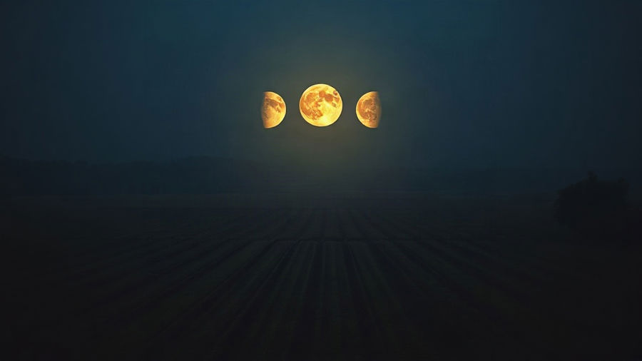 Fases da Lua e agricultura: o erro de achar que a Lua faz a planta crescer