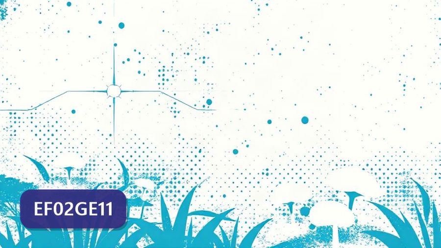 Atividades sobre Os usos dos recursos naturais: solo e água no campo e na cidade com gabarito — 2º ano (EF02GE11)