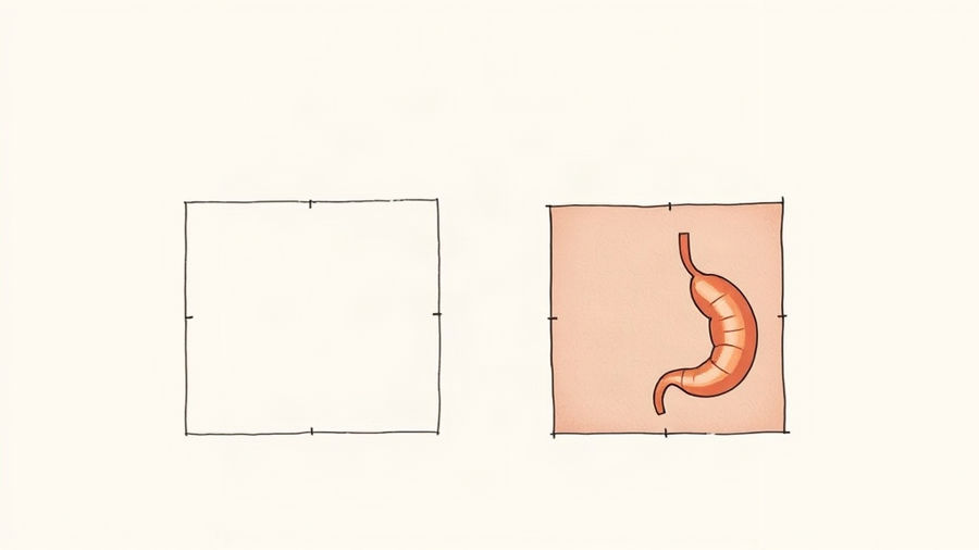 Diferença entre quadrado e retângulo: como explicar