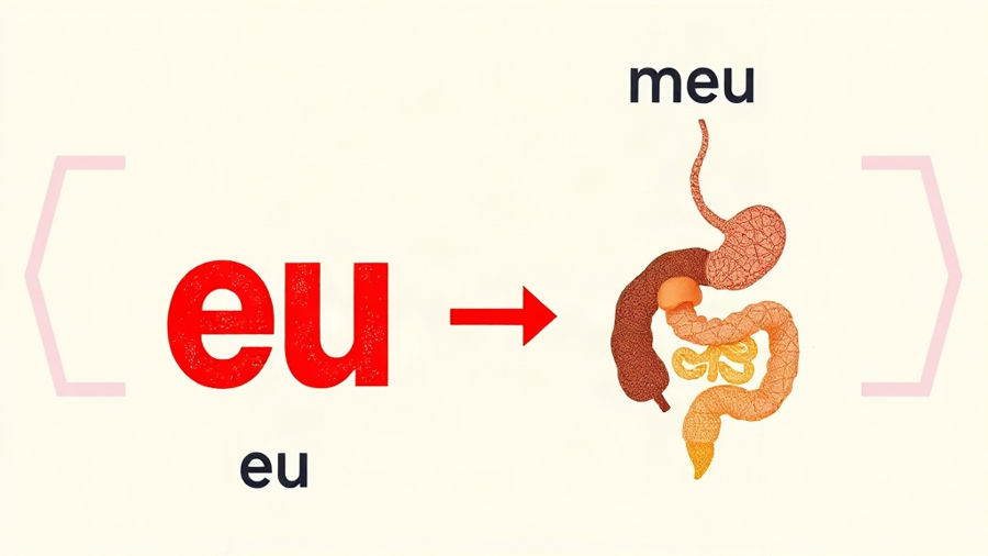 “Meu” é pronome pessoal? Entenda a diferença