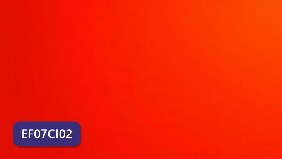 Atividades sobre Formas de propagação do calor com gabarito — 7º ano (EF07CI02)