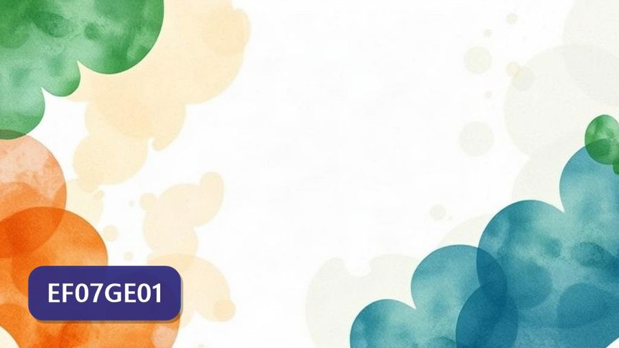 Atividades sobre Ideias e concepções sobre a formação territorial do Brasil com gabarito — 7º ano (EF07GE01)