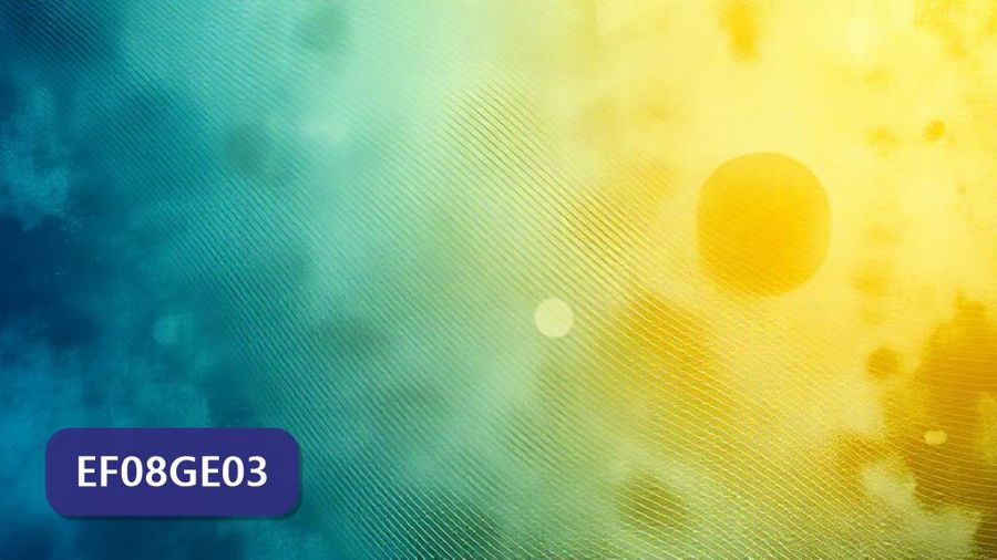 Atividades sobre Diversidade e dinâmica da população mundial e local com gabarito — 8º ano (EF08GE03)