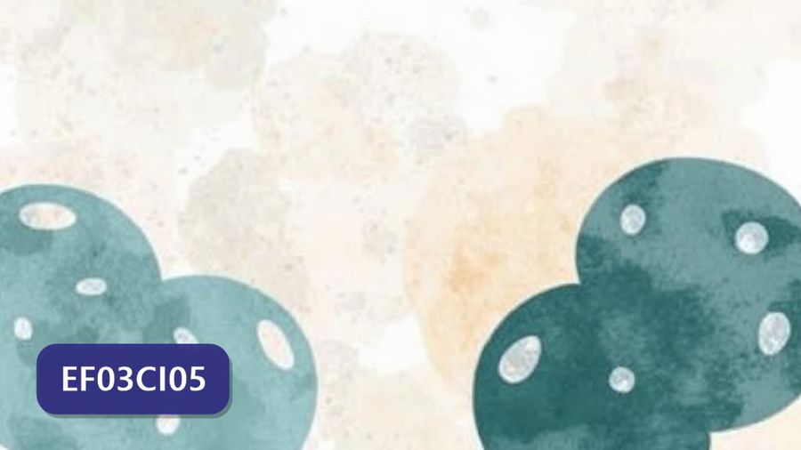 Atividades sobre desenvolvimento dos animais com gabarito — 3º ano (EF03CI05)